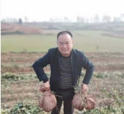 三百年薯香续传奇：从宫廷贡品到乡村振兴金饽饽