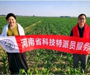 河南省科技特派员解金辉赴杞县开展玉米田间管理技术指导