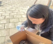 唐河：巡护员及时救援 受困灰林鸮重返自然