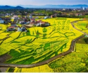 廊道串美景 业态兴乡村 ——陕西汉中市花海经济点燃乡村振兴“新引擎”