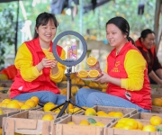 福建南安：数字志愿服务助农忙