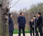 唐河县县级林长鲁成豪到东城街道开展巡林