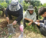 南阳市宛城区林业局开展2025年食用林产品质量安全监测工作