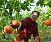 建好“菜园子” 保障“菜篮子”