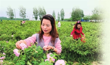 文旅融合助力乡村振兴