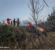 桐柏县朱庄镇：退役军人服务站开展老兵志愿者冬季护林防火活动