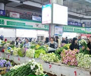 云南昆明：斗南花市人气旺
