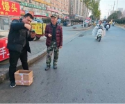 南阳市宛城区林业局：接力救助受伤斑鸠 专业救护守护城市“飞羽精灵”