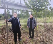 南阳市宛城区副区长黄振到黄台岗镇开展巡林工作