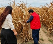 科技特派员田间送技 护航杞县秋粮丰产丰收