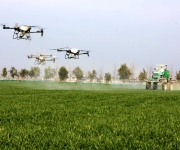 立春时节农事忙