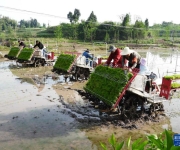 春播春管正当时