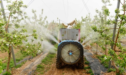 山西大宁：苹果授粉忙 产业助增收