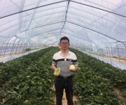 念好“甜蜜经” 种好“幸福果”——赵尧村走出沙土蜜瓜产业振兴新路子
