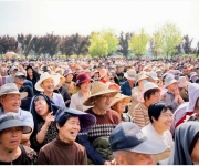 曲剧名家杨帅学回“郏”献艺，乡亲乐听“梅花”