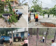 桐柏县毛集镇：多措并举绘就人居环境新画卷，用心用情筑牢民生幸福根基