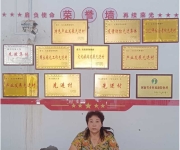 赤子归巢映山红——记河南郏县安良镇塔林坡村党支部书记、村主任刘银仙