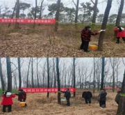 南阳市宛城区：抢抓早春关键期 筑牢生态防护网