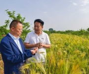 李志民到平顶山市绿禾农业调研