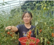 叶县田庄乡：培育集体经济致富树  结出乡村振兴丰收果