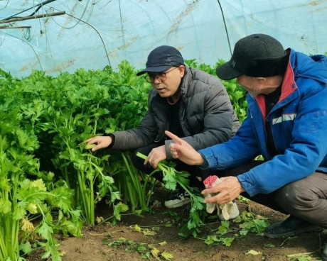 樊红杰驻村帮扶效果明显