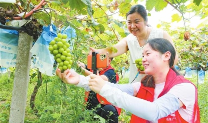 化身销售“主播” 助力农户增收