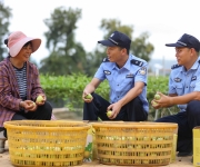 “果园警务”守护“甜蜜经济”