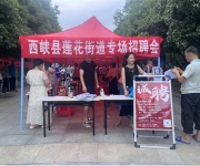 西峡县莲花街道：“夜市招聘会”点亮就业新希望