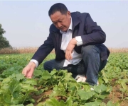 郭自强：郏县坡河萝卜，国家地理标志背后的匠心传奇