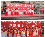 南阳市宛城区仲景街道：新春送暖传文明 共治共享谱新篇