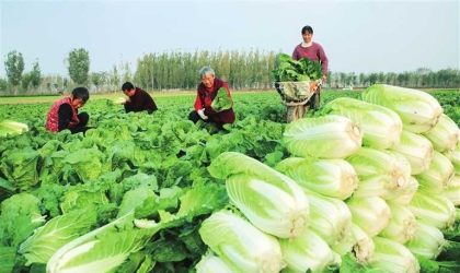 拓宽增收渠道 助推乡村振兴