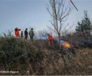 桐柏县朱庄镇：退役军人服务站开展老兵志愿者冬季护林防火活动