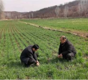 南召县白土岗镇：人勤春早备耕忙 田间地头启新章