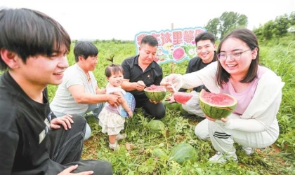 返乡创业种甜瓜 甜蜜产业富乡邻