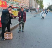 南阳市宛城区林业局：接力救助受伤斑鸠 专业救护守护城市“飞羽精灵”