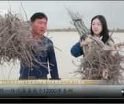 “沙海愚公”付志周：我这一辈子准备栽一百万棵树