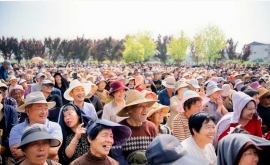 曲剧名家杨帅学回“郏”献艺，乡亲乐听“梅花”