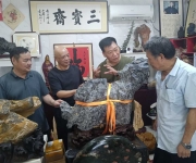 鹰城三宝斋里的“艺术约”：袁亚杰和他的收藏世界