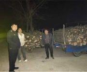 唐河县开展涉林违法行为专项打击行动