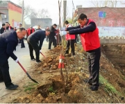 郏县长桥镇： 爱心人士无偿捐赠树苗  干群携手共建和美乡村