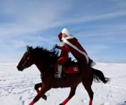 策马网红振兴路：从贺娇龙之逝看基层治理的流量革新与法治边界