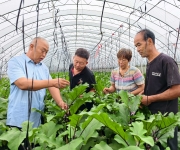 菜王传“技” ，“小西瓜”促进“大就业”