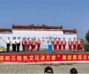 桐柏县毛集镇：文化下乡暖人心 服务惠民传真情