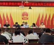 抢时间、除隐患！ 唐河县苍台镇全速推进雨后秸秆清运