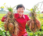 建设宜居宜业和美乡村