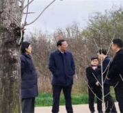 唐河县县级林长鲁成豪到东城街道开展巡林