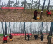 南阳市宛城区：抢抓早春关键期 筑牢生态防护网