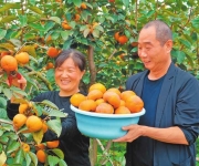 农场采摘 乐享金秋美好时光