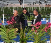 浙江绍兴：乡村兰苑花飘香