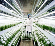 科技育苗备耕忙